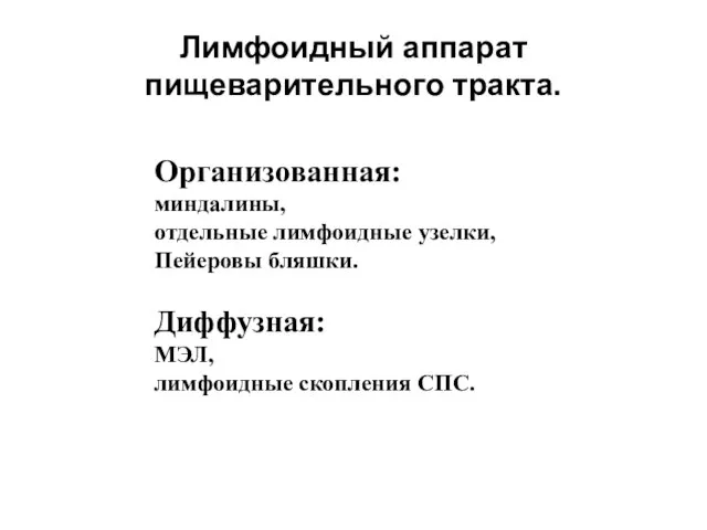 Лимфоидный аппарат пищеварительного тракта. Организованная: миндалины, отдельные лимфоидные узелки, Пейеровы бляшки. Диффузная: МЭЛ, лимфоидные скопления СПС.