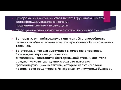 Гуморальный иммунный ответ является функцией В-клеток , трансформирующихся в активные продуценты