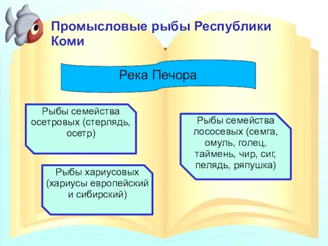 Промысловые рыбы Республики Коми Река Печора Рыбы семейства осетровых (стерлядь, осетр)