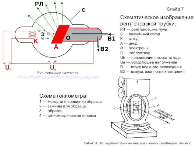 Слайд 7 Схематическое изображение рентгеновской трубки: РЛ — рентгеновские лучи С