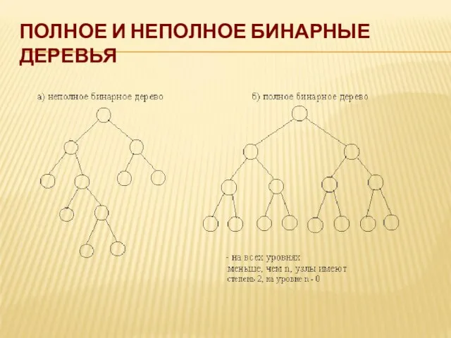 ПОЛНОЕ И НЕПОЛНОЕ БИНАРНЫЕ ДЕРЕВЬЯ