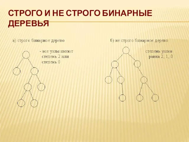 СТРОГО И НЕ СТРОГО БИНАРНЫЕ ДЕРЕВЬЯ