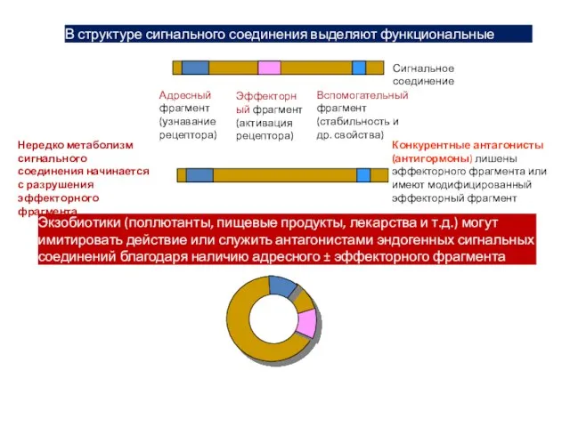 Адресный фрагмент (узнавание рецептора) Эффекторный фрагмент (активация рецептора) Вспомогательный фрагмент (стабильность