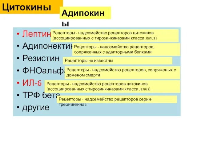 Лептин Адипонектин Резистин ФНОальфа ИЛ-6 ТРФ бета другие Цитокины Адипокины Рецепторы