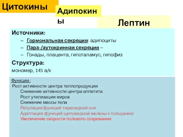 Лептин Источники: Гормональная секреция: адипоциты Пара-/аутокринная секреция – Гонады, плацента, гипоталамус,