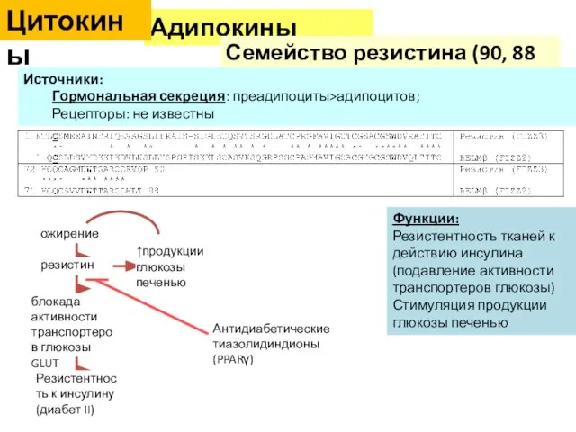 Адипокины Семейство резистина (90, 88 а/к) Цитокины Источники: Гормональная секреция: преадипоциты>адипоцитов;