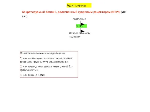 Адипокины Секретируемый белок 5, родственный кудрявым рецепторам (sFRP5) (288 а.к.) ожирение