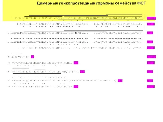 Димерные гликопротеидные гормоны семейства ФСГ