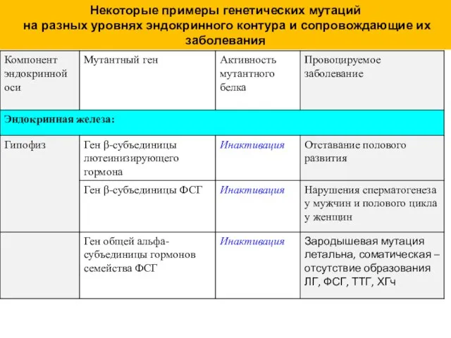 Некоторые примеры генетических мутаций на разных уровнях эндокринного контура и сопровождающие их заболевания