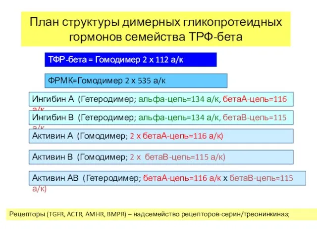 План структуры димерных гликопротеидных гормонов семейства ТРФ-бета Ингибин А (Гетеродимер; альфа-цепь=134