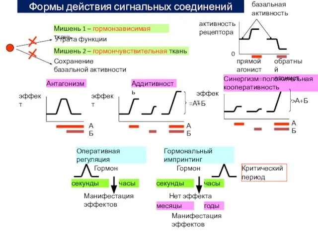 Формы действия сигнальных соединений Утрата функции Сохранение базальной активности Мишень 1