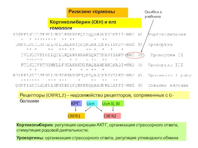 Рилизинг-гормоны Кортиколиберин (CRH) и его гомологи Рецепторы (CRFR1,2) – надсемейство рецепторов,