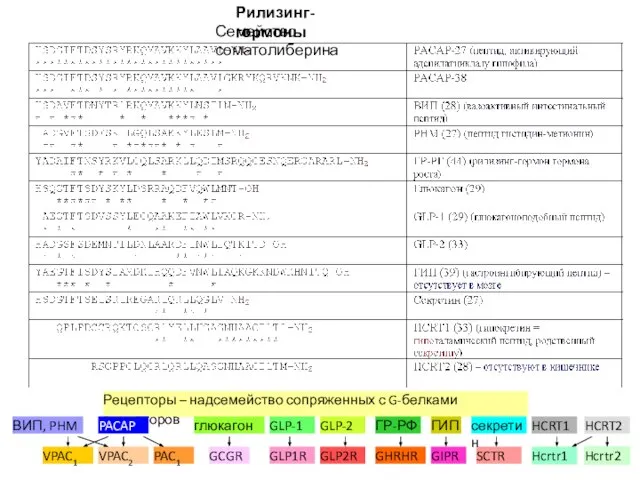 Рилизинг-гормоны Семейство соматолиберина Рецепторы – надсемейство сопряженных с G-белками рецепторов ВИП,