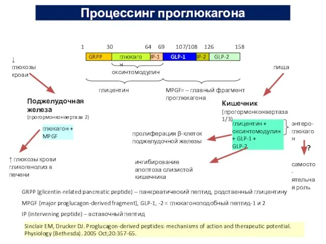 GRPP глюкагон IP-1 GLP-1 IP-2 GLP-2 1 30 64 69 107/108