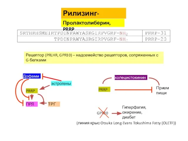 Рилизинг-гормоны Пролактолиберин, PRRP Рецептор (PRLHR, GPR10) – надсемейство рецепторов, сопряженных с