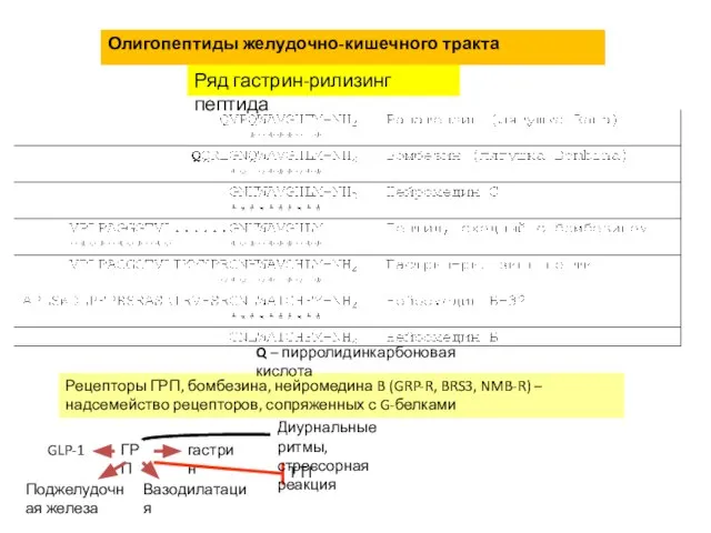 Олигопептиды желудочно-кишечного тракта Ряд гастрин-рилизинг пептида Рецепторы ГРП, бомбезина, нейромедина B