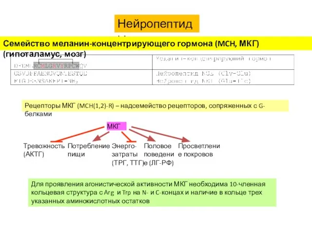 Нейропептиды Семейство меланин-концентрирующего гормона (MCH, МКГ) (гипоталамус, мозг) Рецепторы МКГ (MCH(1,2)-R)