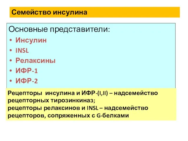 Основные представители: Инсулин INSL Релаксины ИФР-1 ИФР-2 Семейство инсулина Рецепторы инсулина