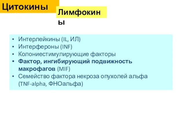 Интерлейкины (IL, ИЛ) Интерфероны (INF) Колониестимулирующие факторы Фактор, ингибирующий подвижность макрофагов