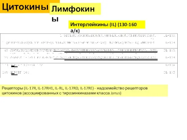 Цитокины Интерлейкины (IL) (130-160 а/к) Рецепторы (IL-17R, IL-17RH1, IL-RL, IL-17RD, IL-17RE)
