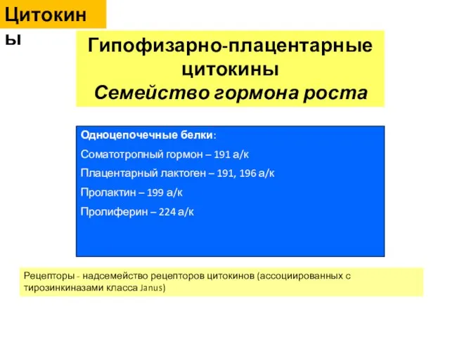 Цитокины Гипофизарно-плацентарные цитокины Семейство гормона роста Одноцепочечные белки: Соматотропный гормон –