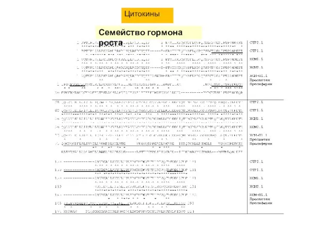 Цитокины Семейство гормона роста