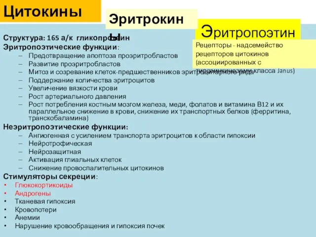 Структура: 165 а/к гликопротеин Эритропоэтические функции: Предотвращение апоптоза проэритробластов Развитие проэритробластов