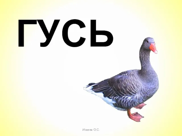 ГУСЬ Исаева О.С.