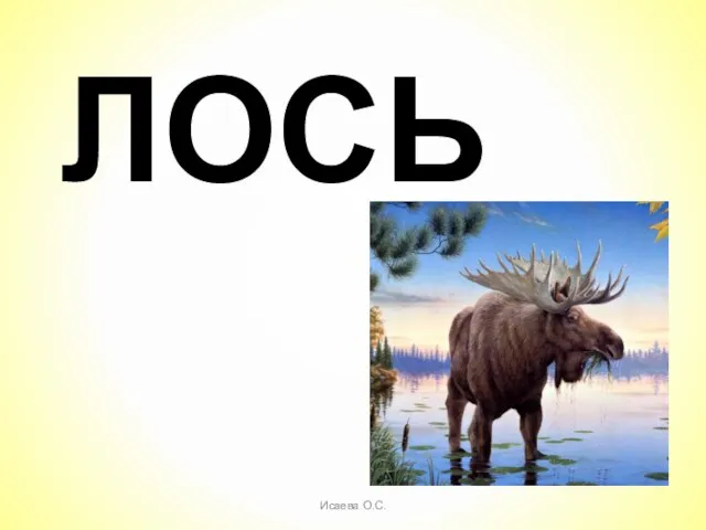 ЛОСЬ Исаева О.С.