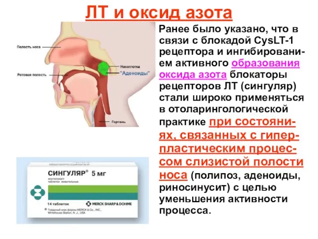 ЛТ и оксид азота Ранее было указано, что в связи с