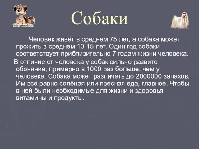 Собаки Человек живёт в среднем 75 лет, а собака может прожить