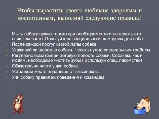 Чтобы вырастить своего любимца здоровым и воспитанным, выполняй следующие правила: Мыть