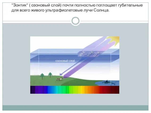 "Зонтик" ( озоновый слой) почти полностью поглощает губительные для всего живого ультрафиолетовые лучи Солнца.