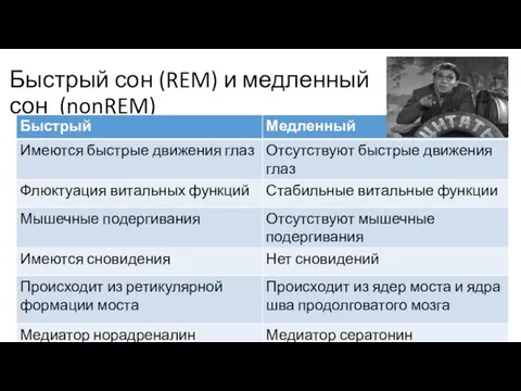 Быстрый сон (REM) и медленный сон (nonREM)