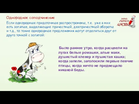 Однородное соподчинение Было раннее утро, когда расцвели на лугах белые ромашки,