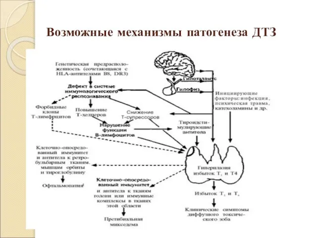 Возможные механизмы патогенеза ДТЗ