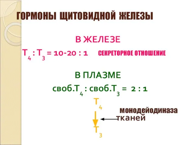 ГОРМОНЫ ЩИТОВИДНОЙ ЖЕЛЕЗЫ В ЖЕЛЕЗЕ Т4 : Т3 = 10-20 :