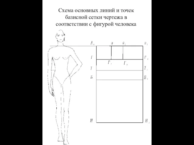 Схема основных линий и точек базисной сетки чертежа в соответствии с фигурой человека