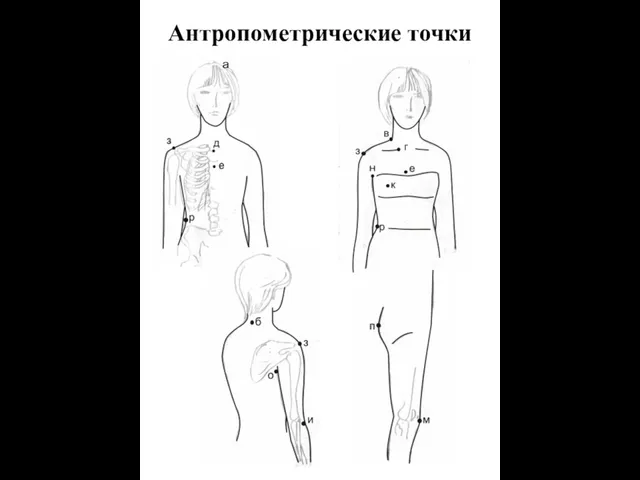 Антропометрические точки а