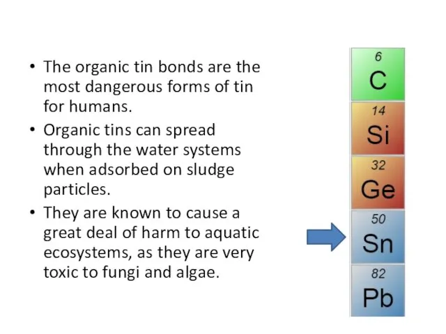 The organic tin bonds are the most dangerous forms of tin