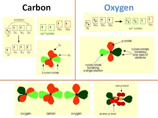 Carbon Oxygen