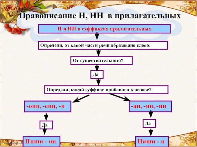 Правописание Н, НН в прилагательных Н и НН в суффиксах прилагательных