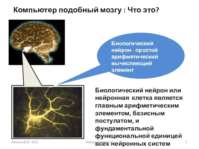 Биологический нейрон - простой арифметический вычисляющий элемент Биологический нейрон или нейронная