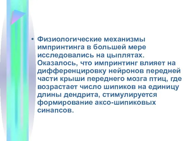 Физиологические механизмы импринтинга в большей мере исследовались на цыплятах. Оказалось, что