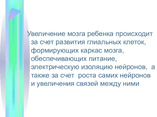 Увеличение мозга ребенка происходит за счет развития глиальных клеток, формирующих каркас