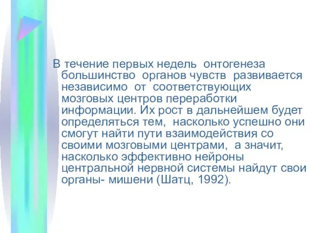 В течение первых недель онтогенеза большинство органов чувств развивается независимо от