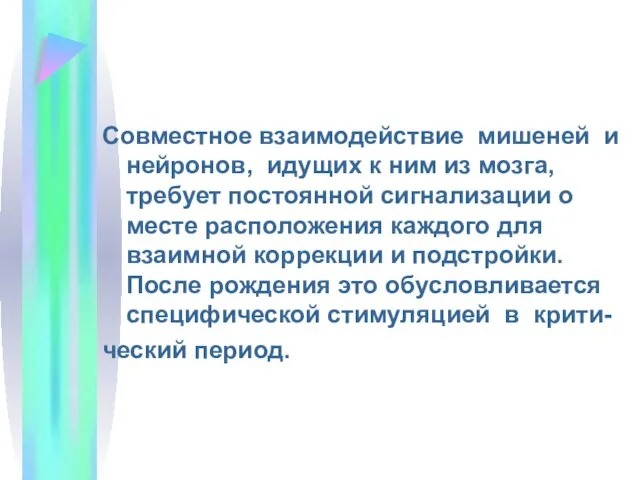 Совместное взаимодействие мишеней и нейронов, идущих к ним из мозга, требует