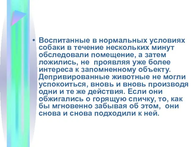 Воспитанные в нормальных условиях собаки в течение нескольких минут обследовали помещение,