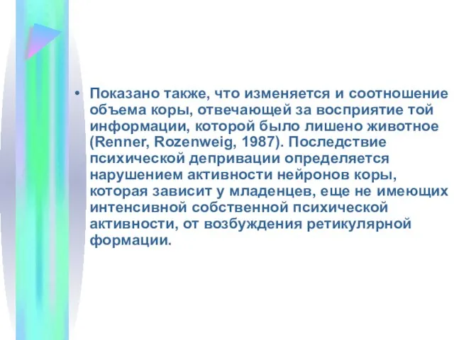 Показано также, что изменяется и соотношение объема коры, отвечающей за восприятие