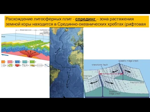 Расхождение литосферных плит - спрединг – зона растяжения земной коры находится